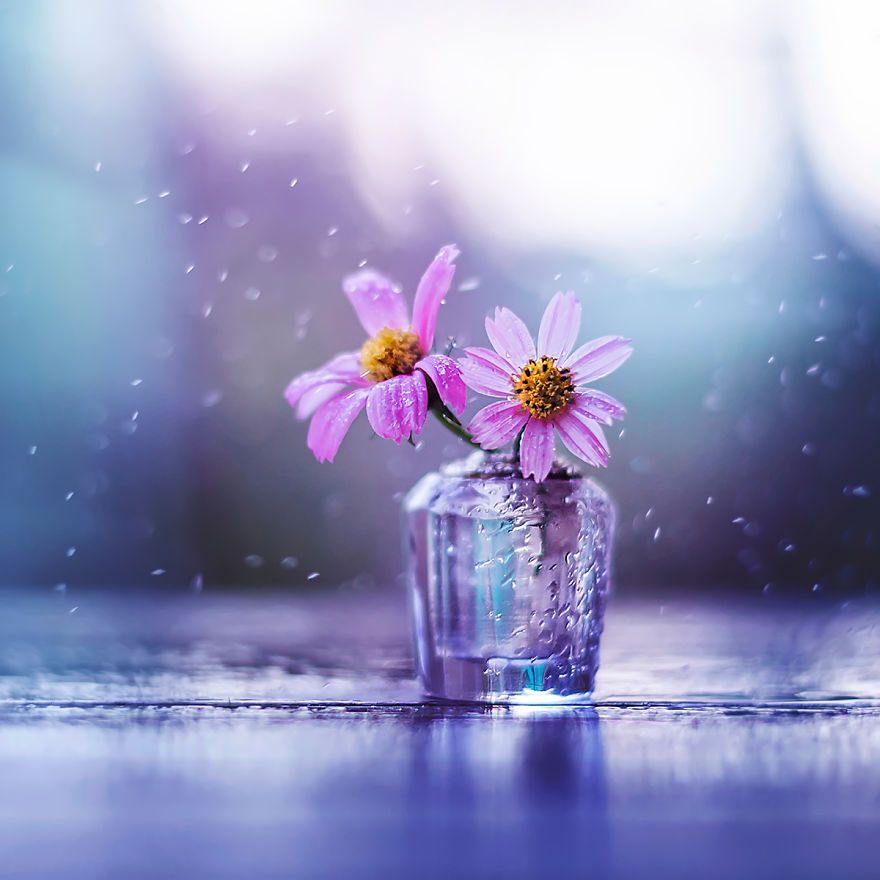 The Magic of Life