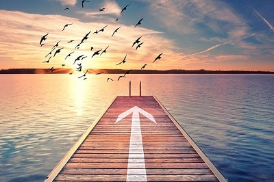 Expanding Horizons
