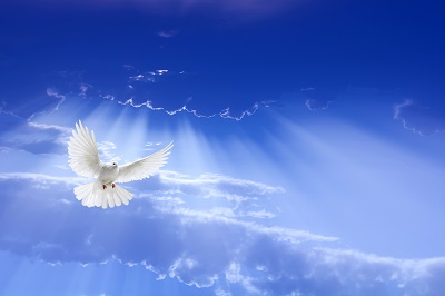 The Healing Of Self
