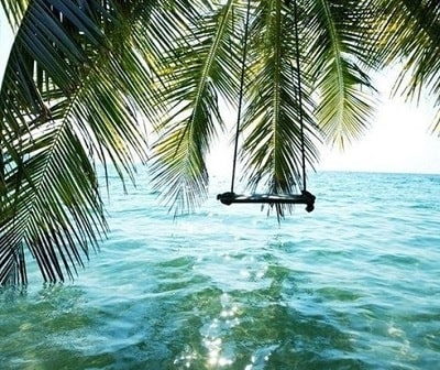 Life To Be Enjoyed