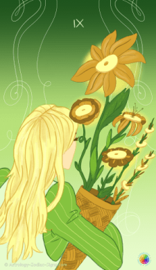 Nine of Coins